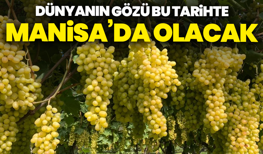 Dünyanın gözü bu tarihte Manisa’da olacak !