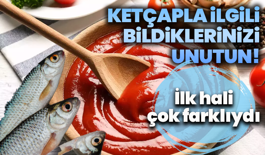 Bugünkü haline gelene dek neler yaşadı: Ketçabın lezzet yolculuğu
