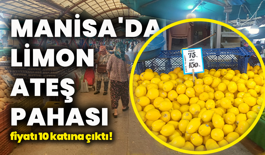Manisa'da limon ateş pahası: 5 ayda fiyatı 10 katına çıktı!