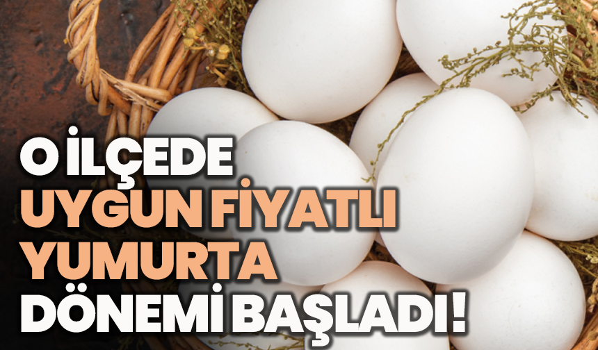 O ilçede uygun fiyatlı yumurta dönemi yeniden başladı!