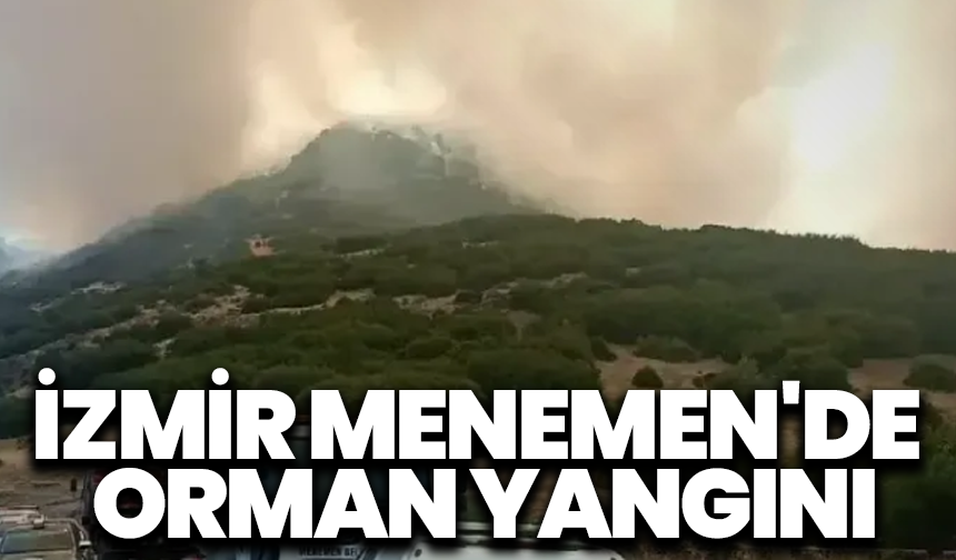 İzmir Menemen'de orman yangını çıktı