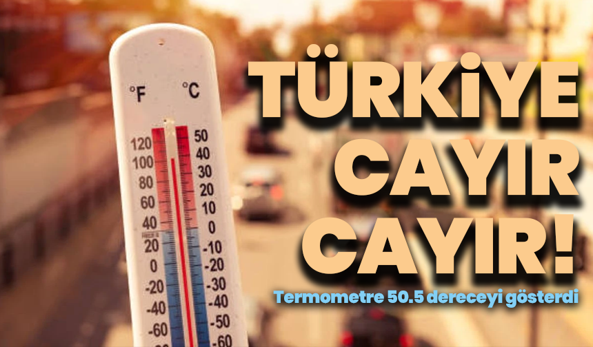 "Türkiye cayır cayır! Termometre 50.5 dereceyi gösterdi, rekor kırıldı"