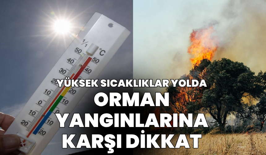 Türkiye geneline uyarı: Orman yangını riski var!