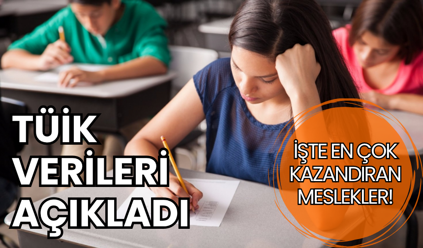 Tercih yapacaklar dikkat! TÜİK listeyi açıkladı: İşte istihdam oranı en yüksek meslekler