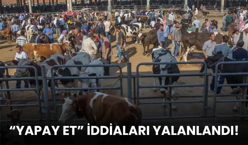 Hayvan pazarı ve yapay et üretimi iddiaları yalanlandı