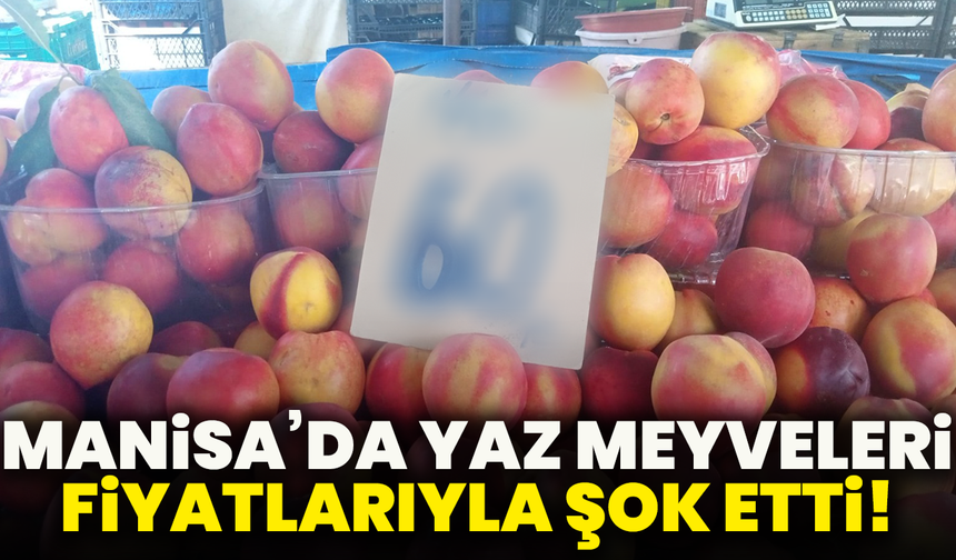Manisa’da yaz meyveleri fiyatlarıyla şok etti!