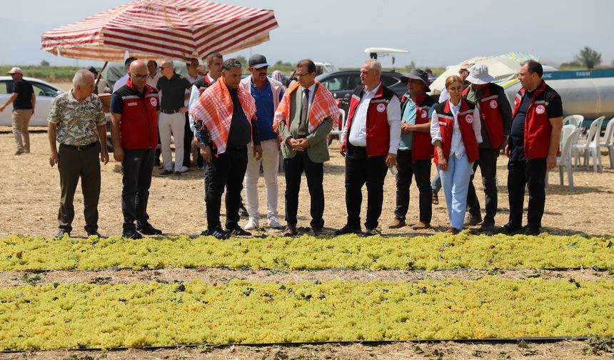 Türkiye’nin üzümü Manisa’dan