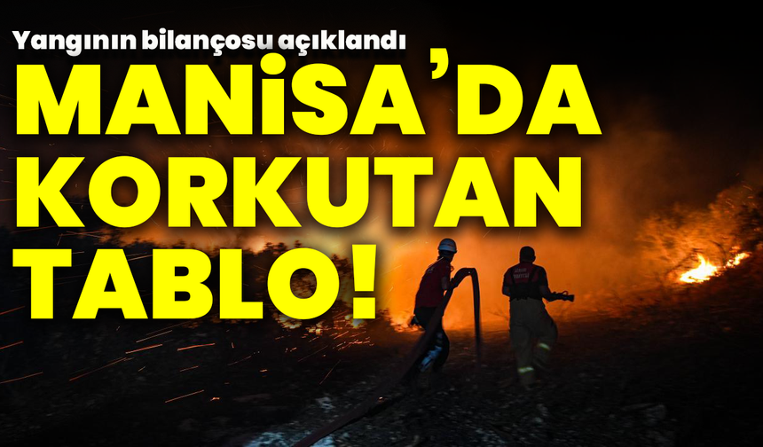 Manisa’da korkutan tablo! Yangının bilançosu açıklandı