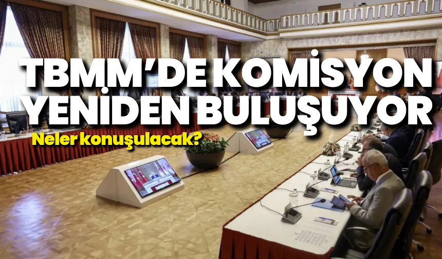 TBMM’de komisyon yeniden buluşuyor: Neler konuşulacak?