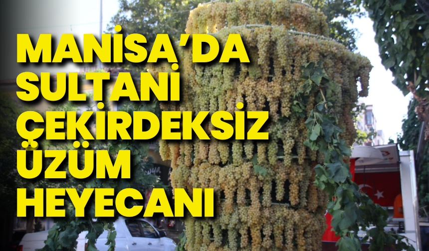 Manisa Ticaret Borsası'nda sultani çekirdeksiz üzüm açılışı