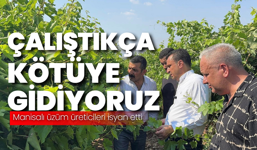 Manisalı üzüm üreticisinin isyanı: “Çalıştıkça kötüye gidiyoruz”