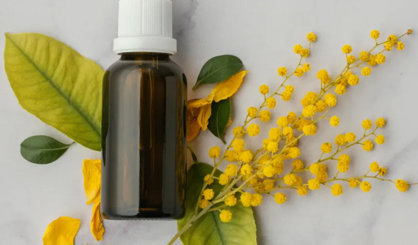 Kendisi küçük, faydası büyük: Bu bitki her derde deva!