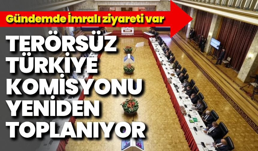 Terörsüz Türkiye komisyonu yeniden toplanıyor: Gündemde İmralı ziyareti var