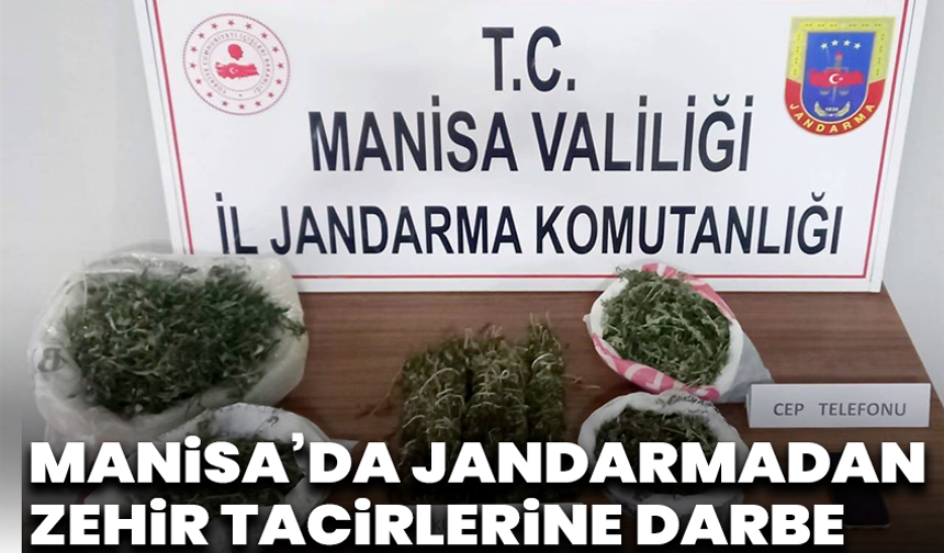 Manisa’da jandarmadan zehir tacirlerine darbe