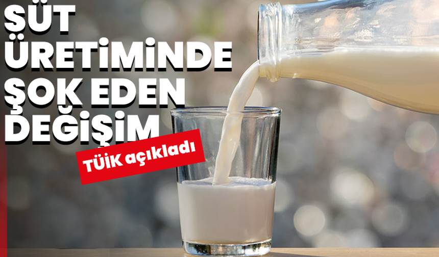 TÜİK açıkladı: Süt üretiminde şaşırtan değişim!