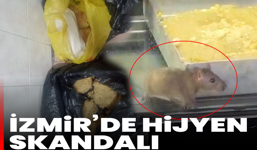 İzmir’de hijyen skandalı: Fare böreklerin içinde dolandı