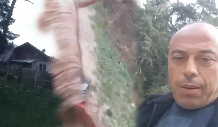 Manisalı turist ata bindi, sosyal medya gülme krizine girdi!