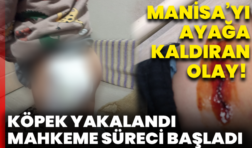 Manisa’yı ayağa kaldıran olay! Çocuklara Saldıran Köpek Yakalandı, Mahkeme Süreci