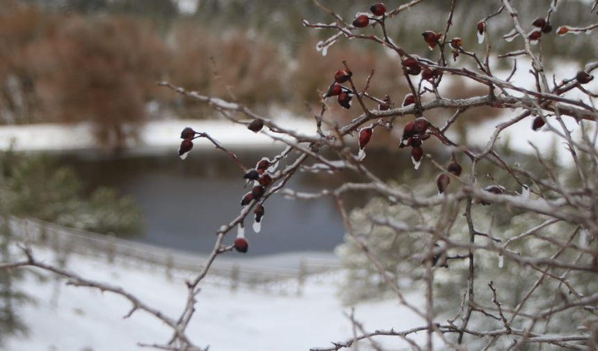 Spil dağı beyaza büründü