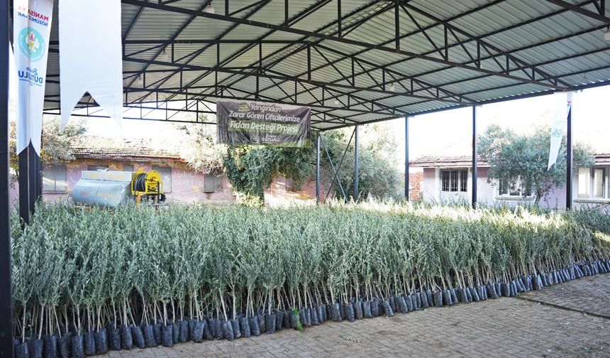 Manisa Büyükşehir Belediyesi’nden afetzede üreticiye büyük destek