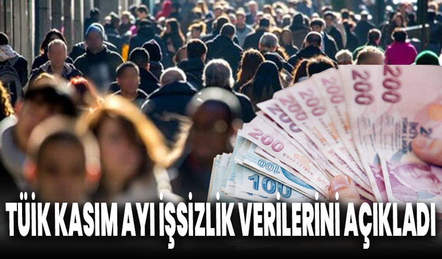 TÜİK Kasım Ayı İşsizlik Verilerini Açıkladı