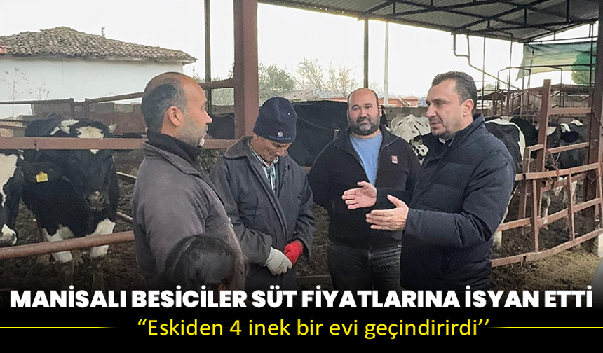 Manisalı besiciler süt fiyatlarına isyan etti: “Eskiden 4 inek bir evi geçindirirdi’’