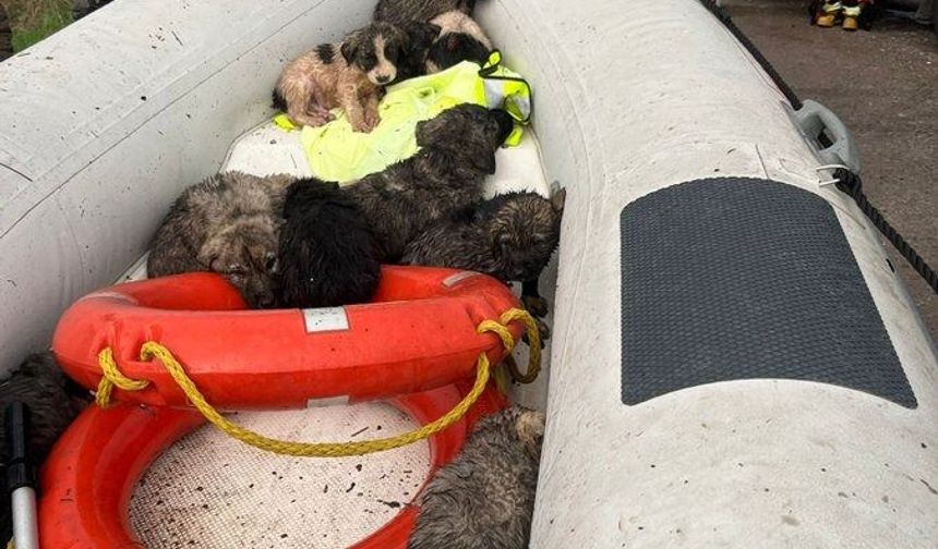 Manisa'da umut dolu kurtarma