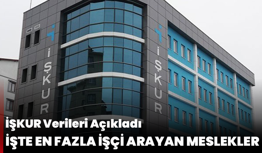 İŞKUR Verileri Açıkladı: İşte En Fazla İşçi Arayan Meslekler