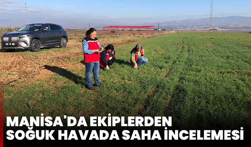 Manisa'da ekiplerden soğuk havada saha incelemesi