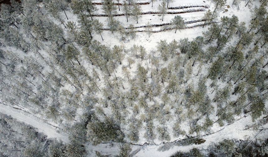 Manisa'nın İlçesi Beyaza Büründü