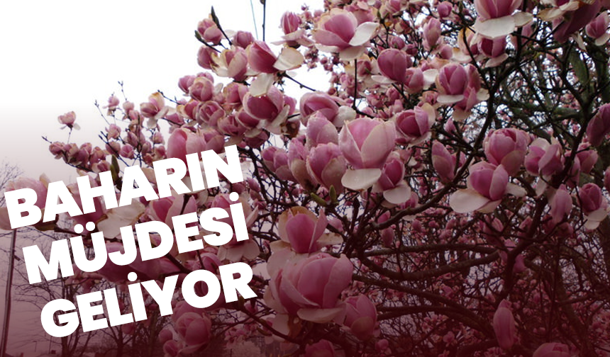 Baharın Müjdesi Geliyor: Cemreler Ne Zaman Düşecek?