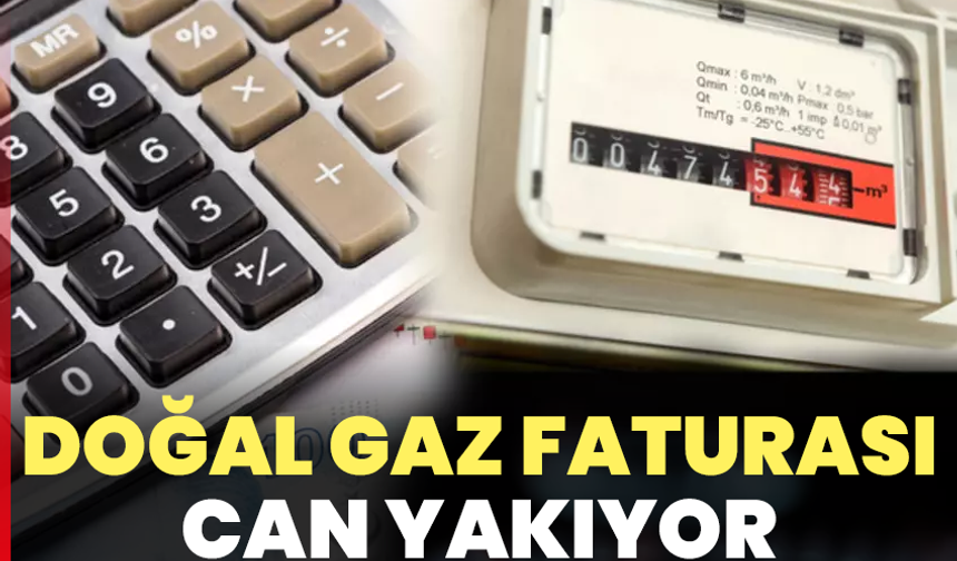 Doğal gaz faturası can yakıyor