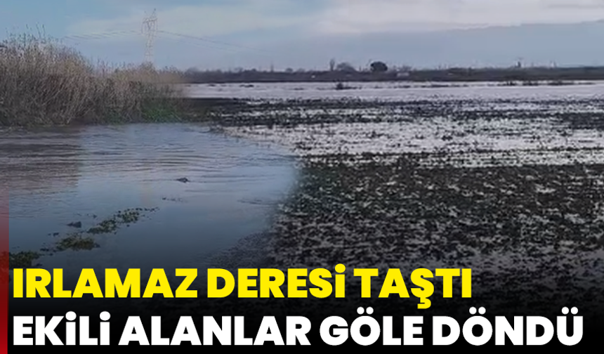 Irlamaz Deresi taştı, ekili alanlar göle döndü