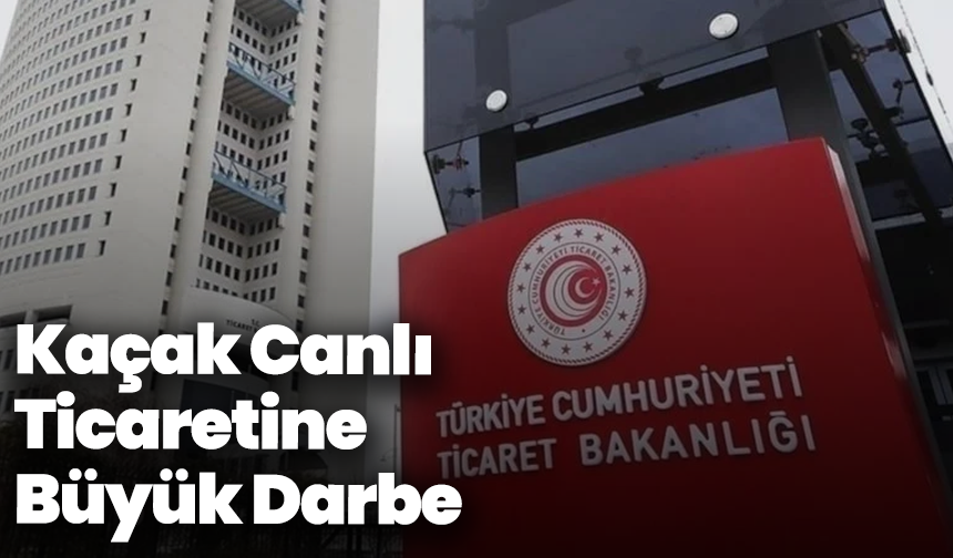 Kaçak Canlı Ticaretine Büyük Darbe