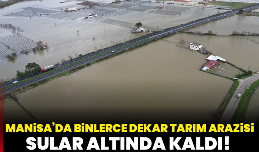 Manisa’da Binlerce Dekar Tarım Arazileri Sular Altında Kaldı!