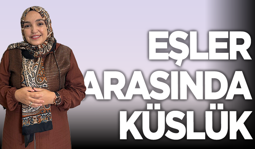 Eşler Arasında Küslük