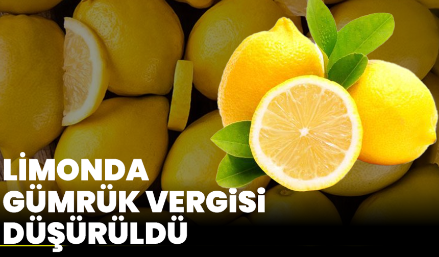 Limonda gümrük vergisi düşürüldü