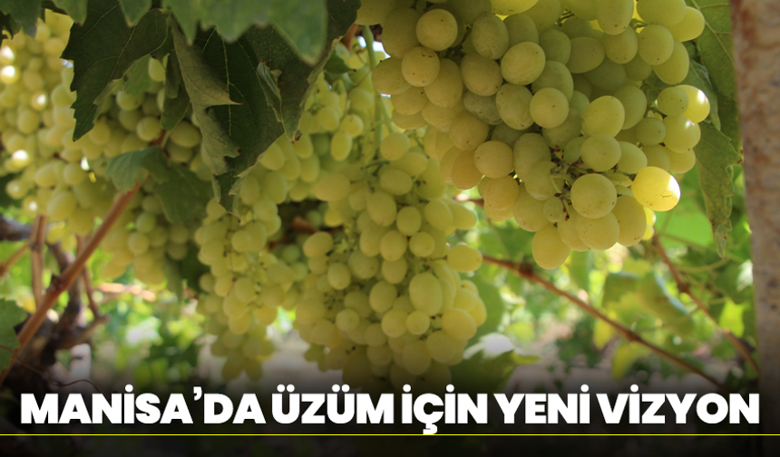 Manisa’da Üzüm İçin Yeni Vizyon