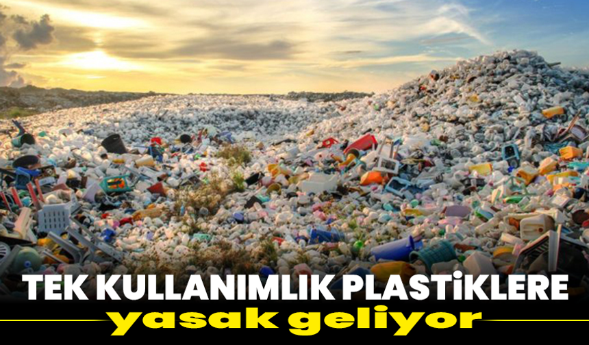 Tek kullanımlık plastiklere yasak geliyor !