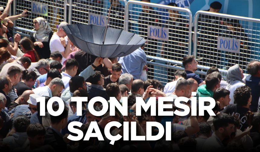 Manisa’da Mesir Saçımı Yapıldı: 10 Ton Mesir Dakkilar İçinde Bitti