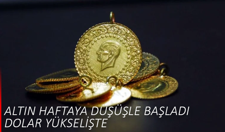 Altın haftaya düşüşle başladı, dolar yükselişte