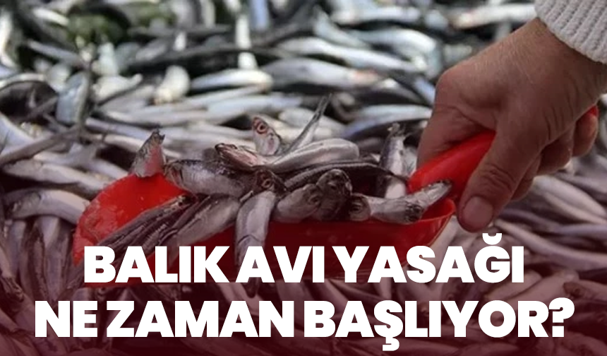 2026 Av Yasağı Tarihi Belli Oldu