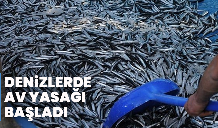 Denizlerde Av Yasağı Başladı