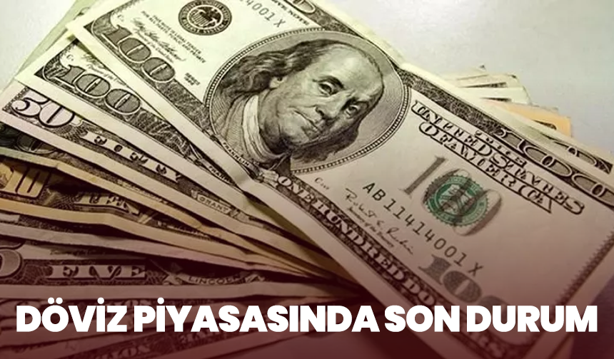 Döviz Piyasasında Son Durum