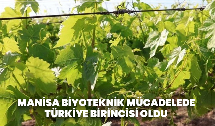Manisa Biyoteknik Mücadelede Türkiye Birincisi Oldu