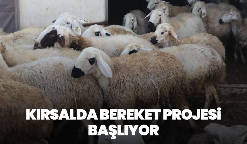Kırsalda Bereket Projesi Başlıyor