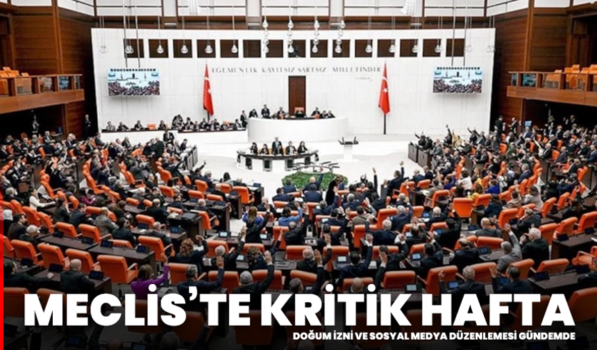 Meclis’te kritik hafta: Doğum izni ve sosyal medya düzenlemesi gündemde