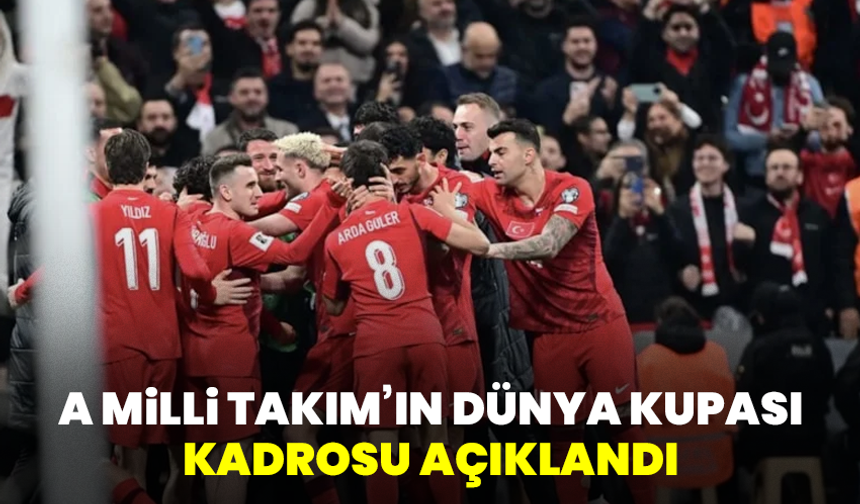 A Milli Takım’ın Dünya Kupası kadrosu belli oldu