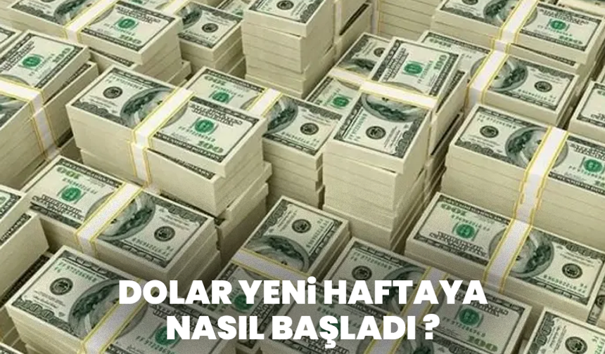 Dolar ve Euro haftaya yükselişle başladı