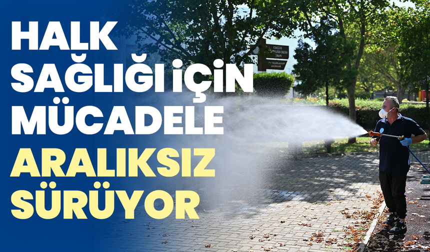 Halk Sağlığı İçin Zararlılarla Mücadele Aralıksız Sürüyor